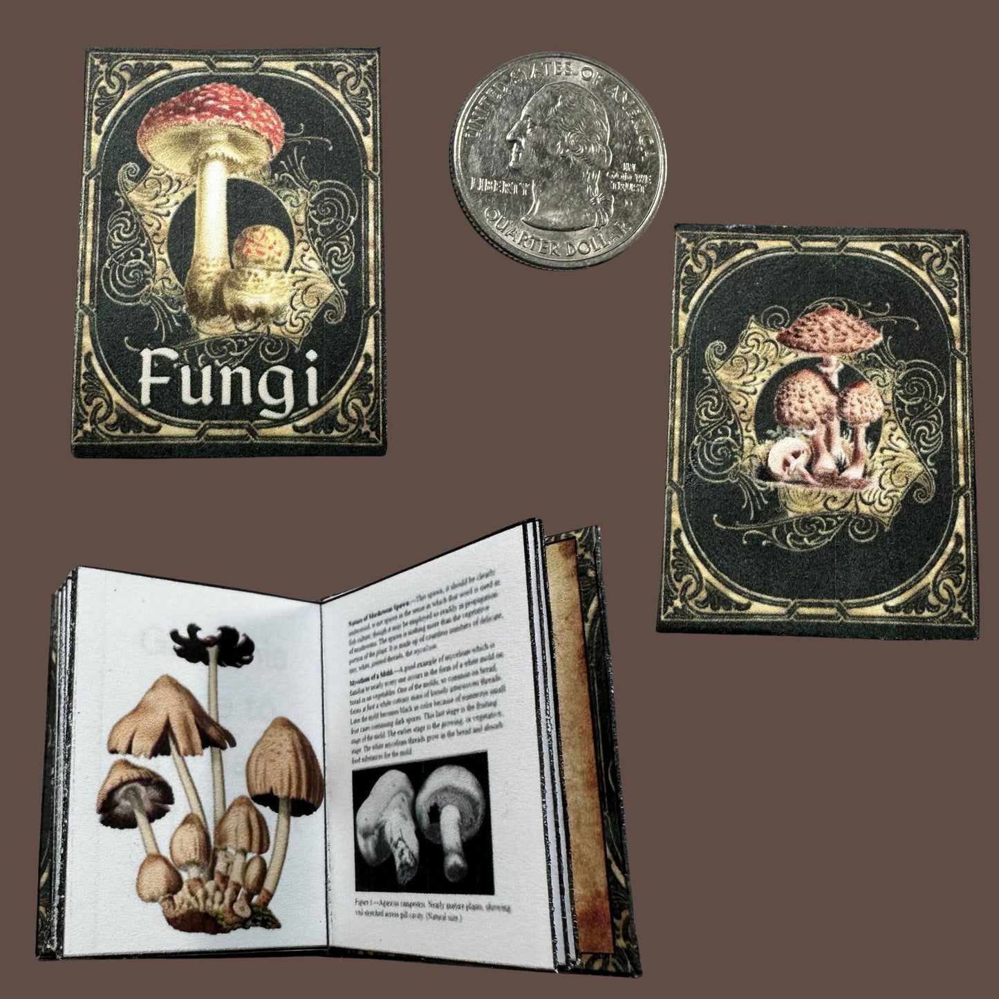 Printable Fungi Miniature Reference Book - Instant PDF Download