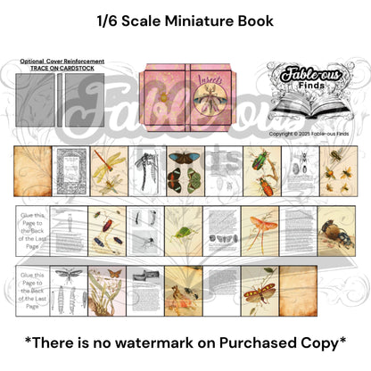 Printable Insects Miniature Reference Book - Instant PDF Download