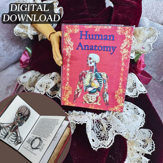 Printable Human Anatomy Miniature Reference Book - Instant PDF Download